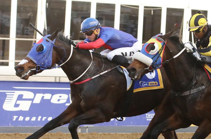 Changing Seasons (Candiese Marnewick)