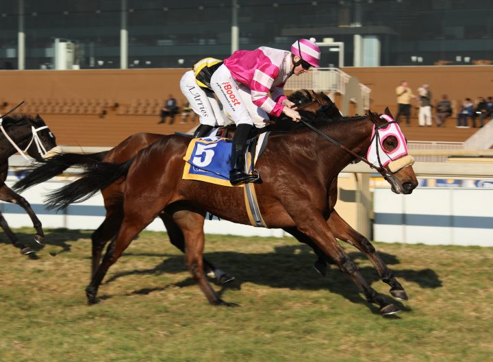 Impact Zone (Candiese Marnewick)