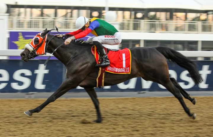 Lady Abigail (Candiese Marnewick)