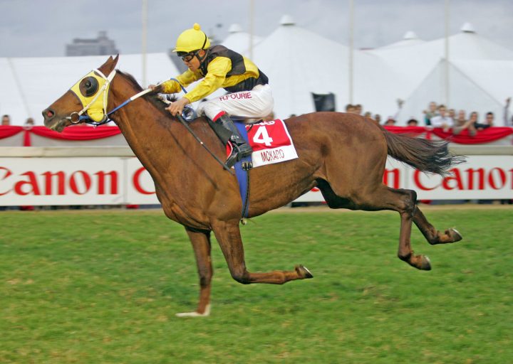 Mokaro (Nkosi Hlophe)