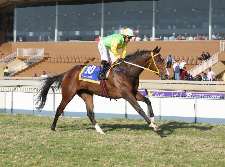 Paybackthemoney (Candiese Marnewick)