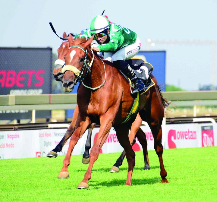 Ronnie's Candy (JC Photographics)