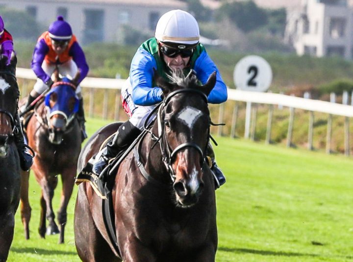 Run Fox Run (Liesl King)