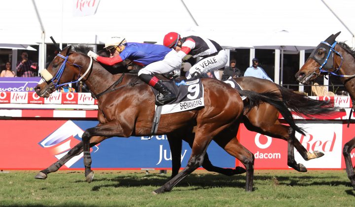 Shenanigans (Candiese Lenferna)