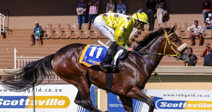 Travelling Light (Candiese Marnewick)