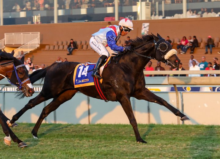Don Pierro (Candiese Marnewick)