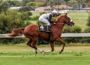 General Franco (Liesl King)