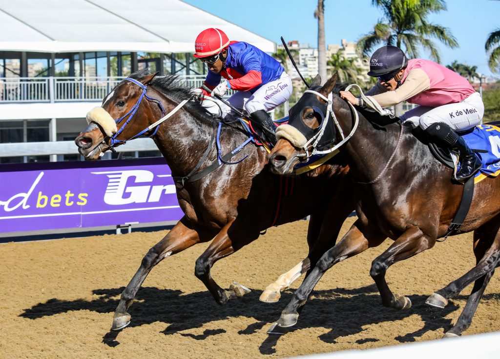 scottsville race card tomorrow