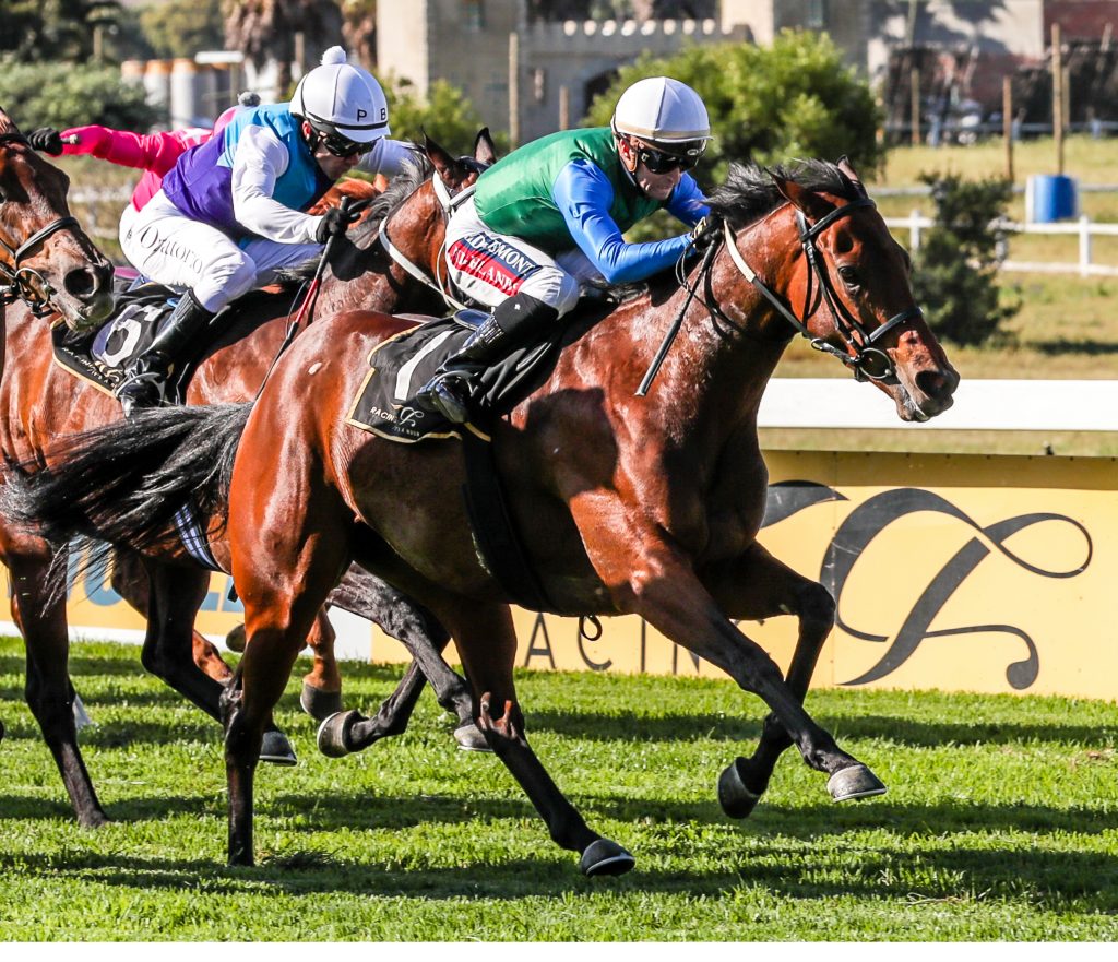 Crawford’s 12 arrive at Summerveld Gold Circle Horse Racing And Betting