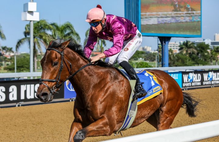 Scarlet Chill (Candiese Marnewick)