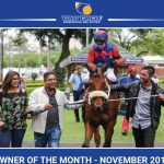 Owner of the Month – November 2019