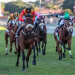 Belgarion is set to carry 53kg in the VDJ