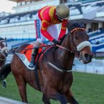 Belgarion stakes his claim for VDJ honours