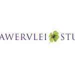 Next Tuesday’s Klawervlei Sales Race