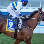 Marchingontogether Going Straight For The Gold Cup
