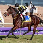 Take a chance on ‘gold’