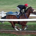 Sands gearing up for Gold Cup day