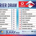 Vodacom Durban July Final Field