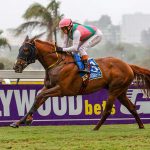 KZN Awards Horse Of The Season quandary