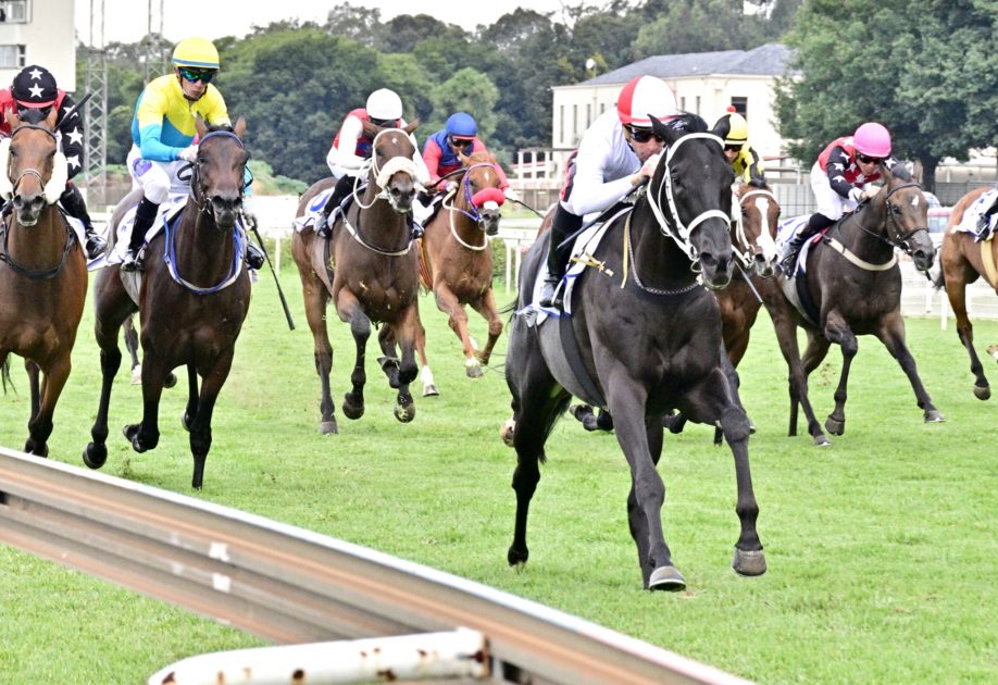 Sandringham Summit returns to winning ways Gold Circle Horse Racing